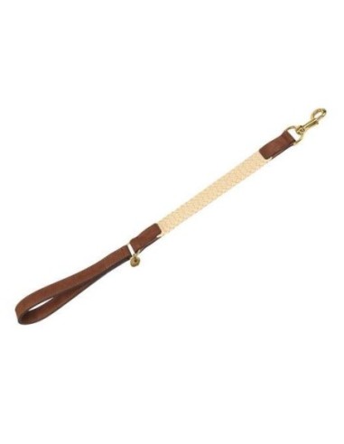 Laisse courte pour chien Tau brun foncé 60cmx25mm