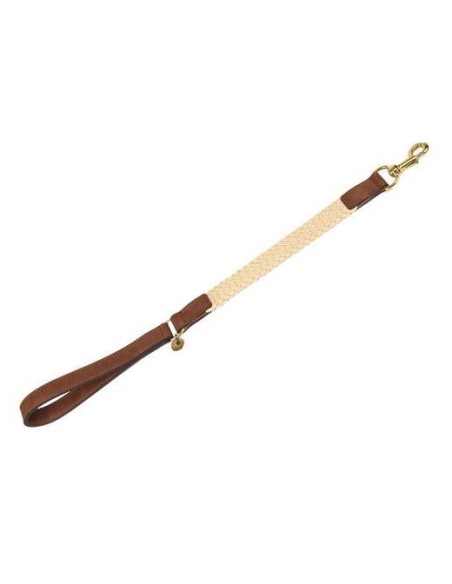 Laisse courte pour chien Tau brun foncé 60cmx25mm