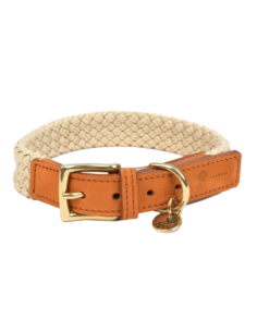 Collier pour chien Tau brun clair