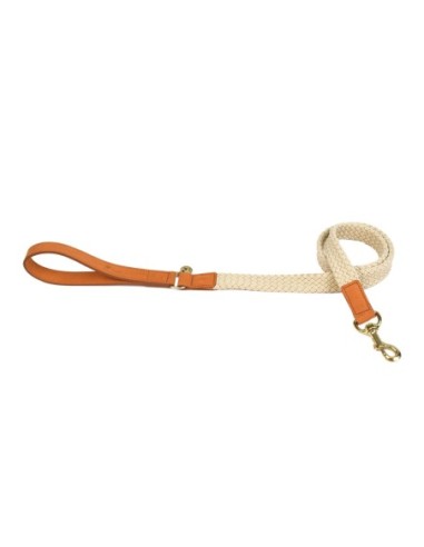Laisse pour chien Tau brun clair 120cmx25mm