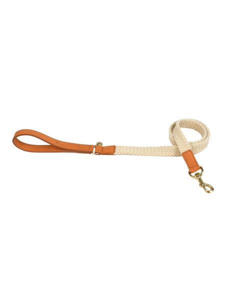 Laisse pour chien Tau brun clair 120cmx25mm