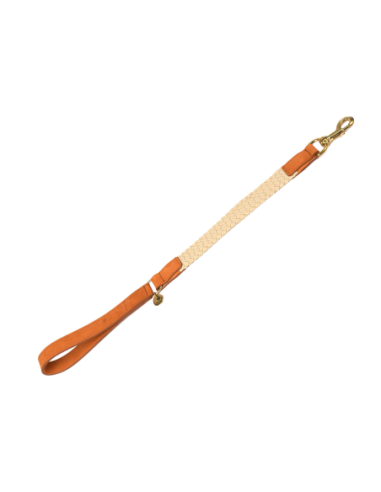 Laisse courte pour chien Tau brun clair 60cmx25mm