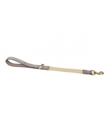 Laisse courte pour chien Tau grise 60cmx25mm