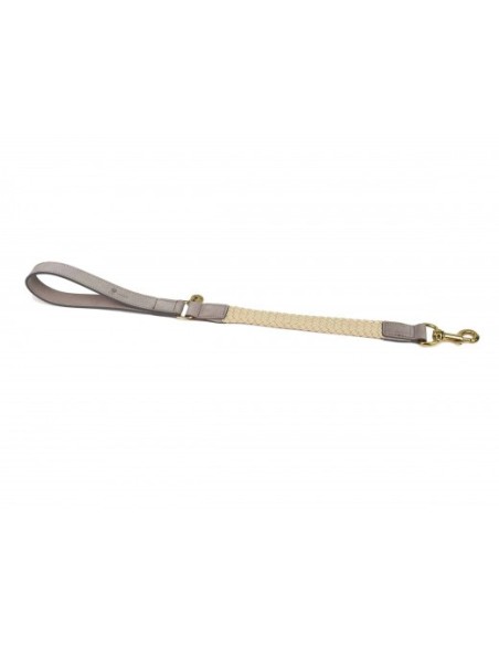 Laisse courte pour chien Tau grise 60cmx25mm