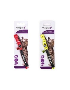 Collier chat avec plaque d'identité MY BOSS POISSON 2