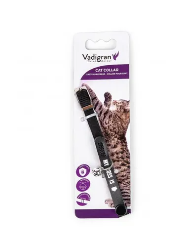 Collier chat "My boss is"