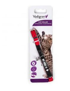 Collier chat "My boss is" 2