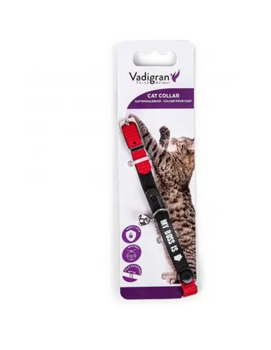 Collier chat "My boss is"