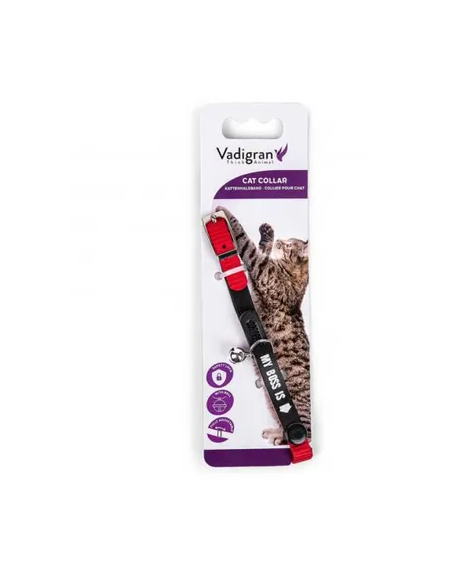 Collier chat "My boss is"