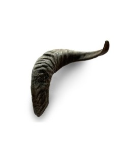 CORNE DE MOUTON POUR CHIEN - VRAC- vendue à l'unité