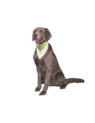 Bandana de sécurité réfléchissant pour chien