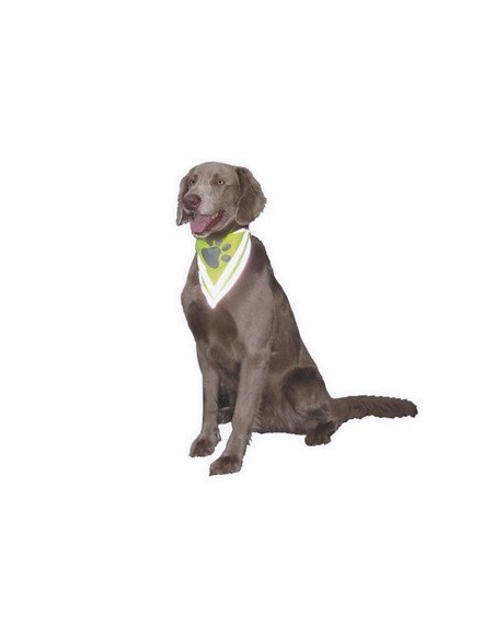 Bandana de sécurité réfléchissant pour chien