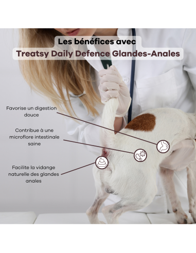 Treatsy Daily Defence Glandes Anales pour Chien - 30 bouchées