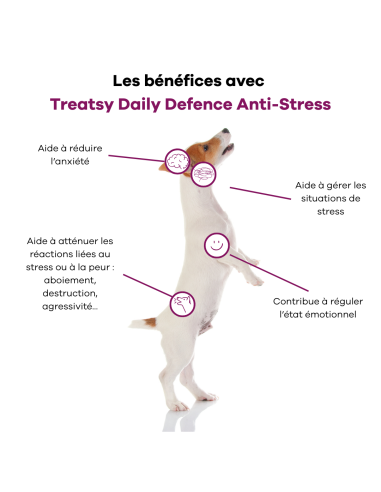 Treatsy Daily Defence Anti-stress pour Chien - 30 bouchées