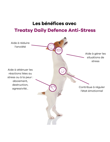 Treatsy Daily Defence Anti-stress pour Chien - 30 bouchées