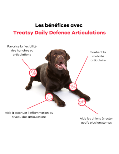 Treatsy Daily Defence Articulations pour Chien - 30 bouchées