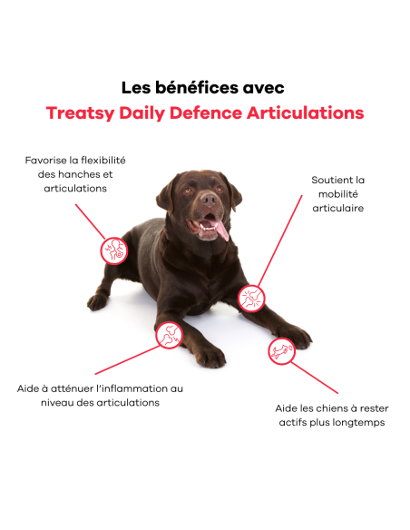 Treatsy Daily Defence Articulations pour Chien - 30 bouchées