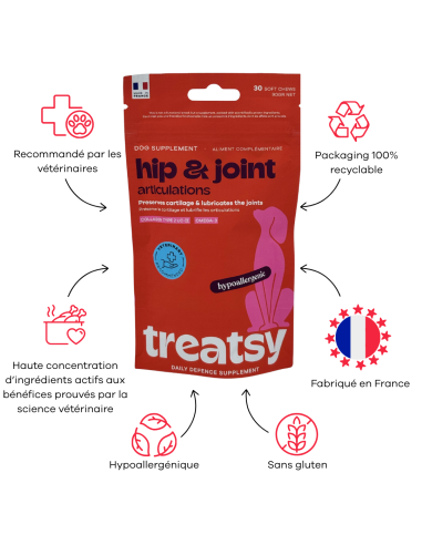 Treatsy Daily Defence Articulations pour Chien - 30 bouchées