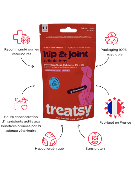 Treatsy Daily Defence Articulations pour Chien - 30 bouchées