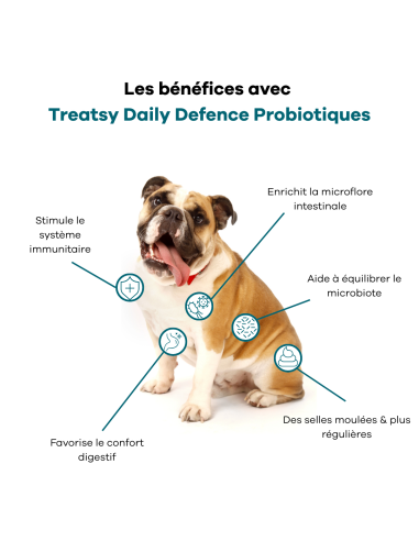 Treatsy Daily Defence Probiotiques pour Chien - 30 bouchées