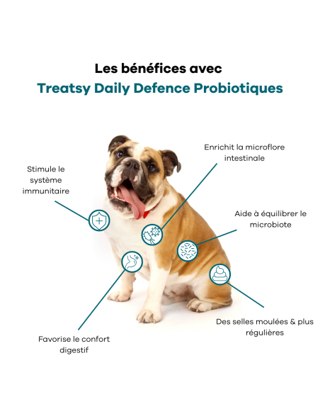 Treatsy Daily Defence Probiotiques pour Chien - 30 bouchées