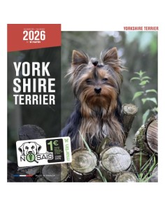 Calendrier chien 2026 - Yorkshire - Martin