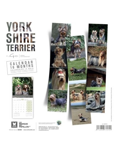 Calendrier chien 2026 - Yorkshire - Martin