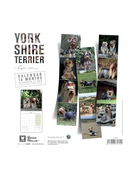 Calendrier chien 2026 - Yorkshire - Martin