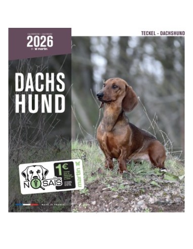 Calendrier chien 2026 - Teckel - Martin