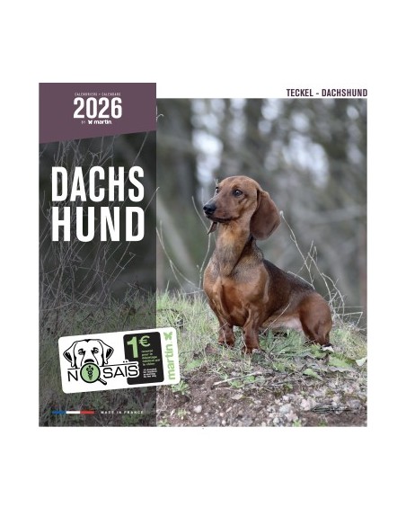 Calendrier chien 2026 - Teckel - Martin