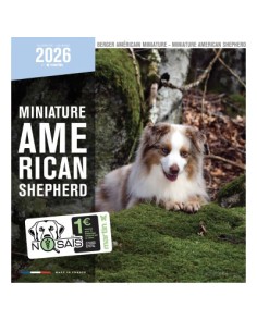 Calendrier chien 2026 - Berger Americain Miniature - Martin