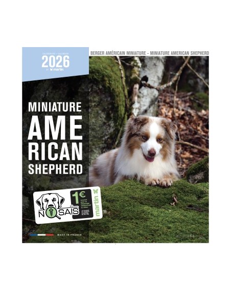 Calendrier chien 2026 - Berger Americain Miniature - Martin