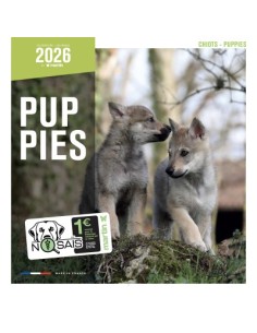 Calendrier chien 2026 - Chiots - Martin