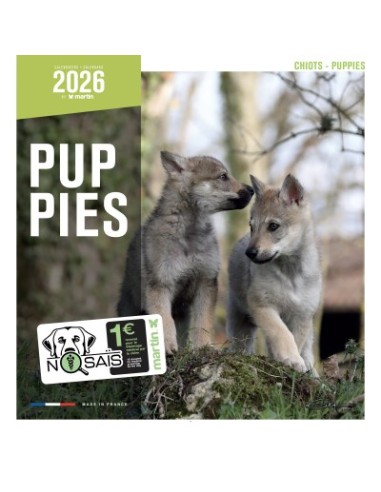 Calendrier chien 2026 - Chiots - Martin