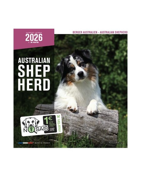 Calendrier chien 2026 - Berger Australien - Martin