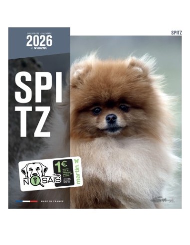 Calendrier chien 2026 - Spitz - Martin