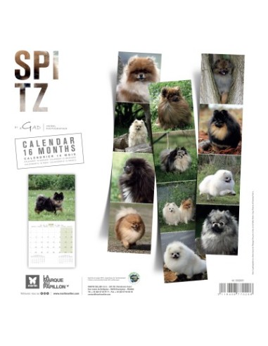 Calendrier chien 2026 - Spitz - Martin