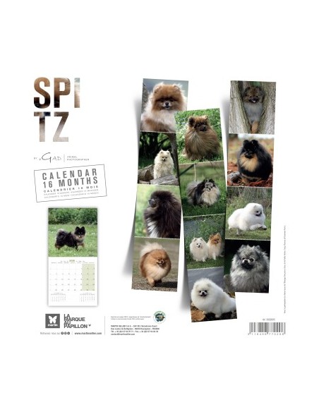 Calendrier chien 2026 - Spitz - Martin