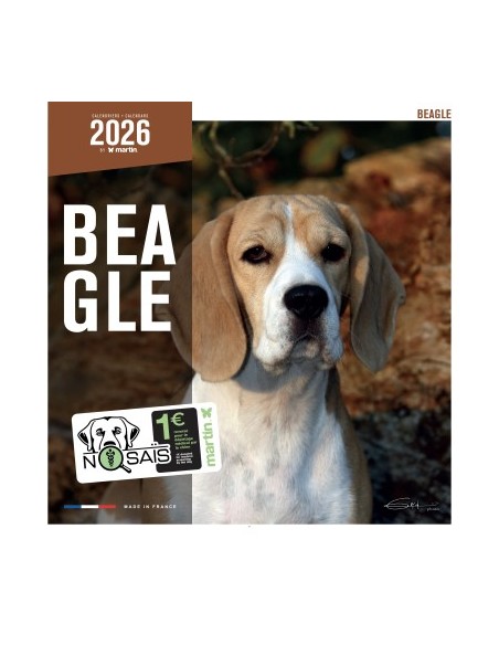 Calendrier chien 2026 - Beagle - Martin