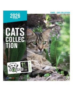 Calendrier chat 2026 - Chats - Martin