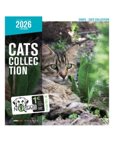 Calendrier chat 2026 - Chats - Martin