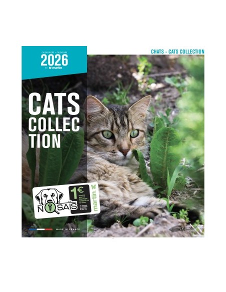 Calendrier chat 2026 - Chats - Martin