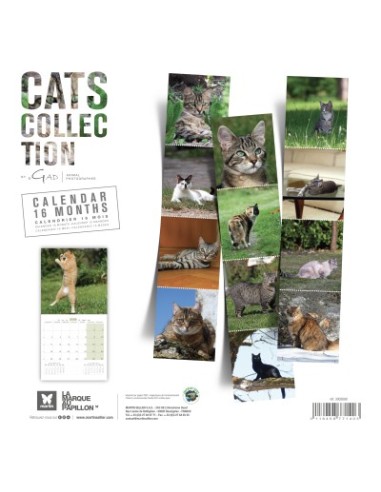 Calendrier chat 2026 - Chats - Martin