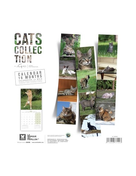 Calendrier chat 2026 - Chats - Martin