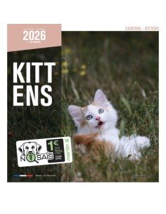 Calendrier 2026 - Chatons - Martin