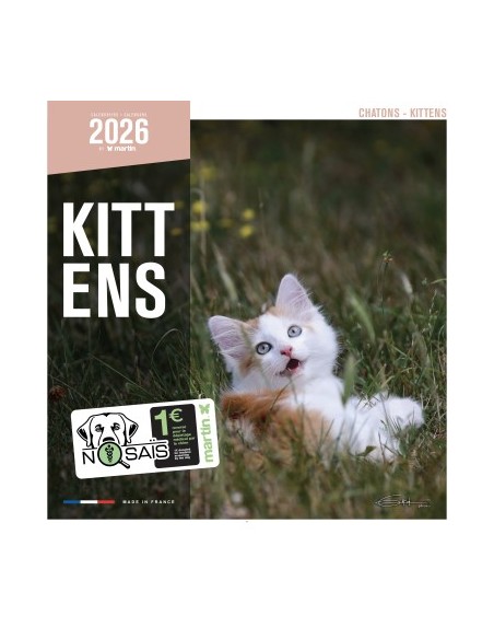 Calendrier 2026 - Chatons - Martin