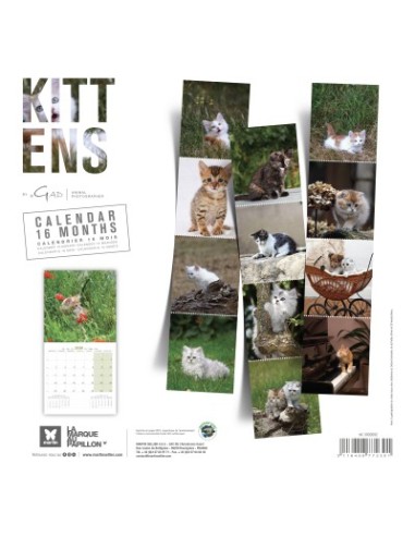 Calendrier 2026 - Chatons - Martin