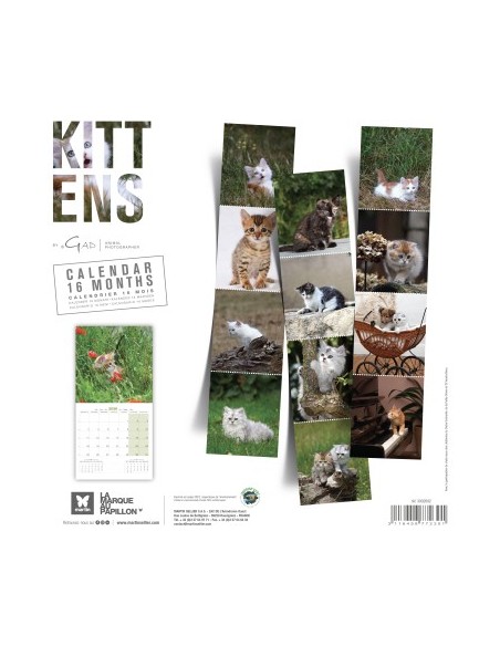 Calendrier 2026 - Chatons - Martin