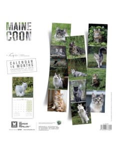 Calendrier chat 2027 - British- Martin 2
