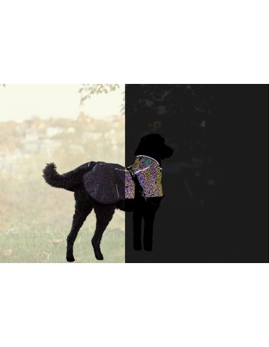 Manteau réfléchissant  sur toute la surface pour une visibilité optimale - pour chien